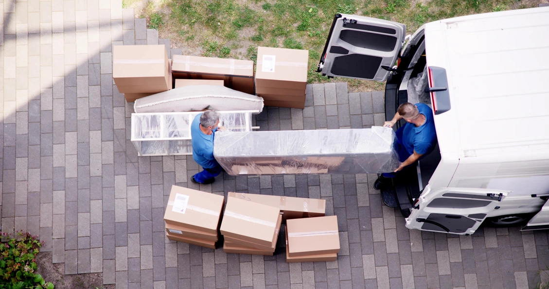 Avm Storage Packaging Materials