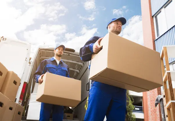 Avm Storage Packaging Materials