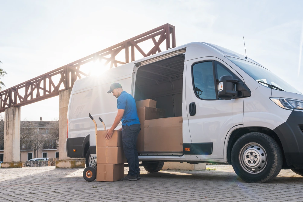 Avm Storage Removals